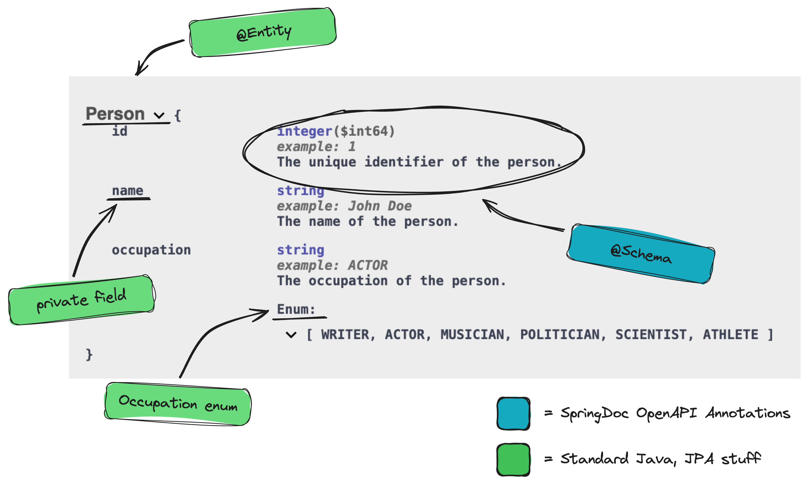 Person entity visualized