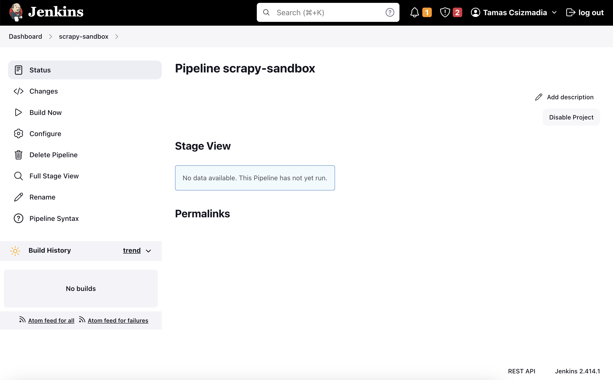 Screenshot of empty Jenkins Pipeline